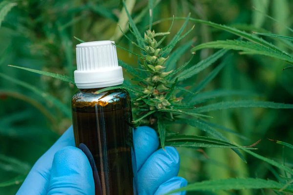 Quels sont les usages médicaux du CBD ?